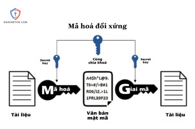 Các Phương Pháp Mã Hóa Dữ Liệu Phổ Biến