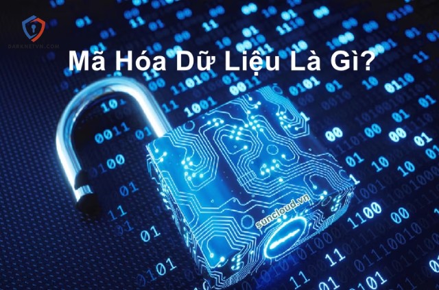 Mục Đích Của Mã Hóa Dữ Liệu